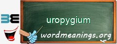 WordMeaning blackboard for uropygium